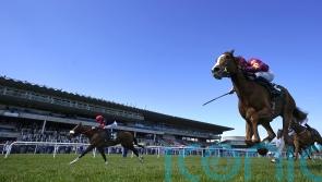 Skydance gets her maiden win to book return to bigger things