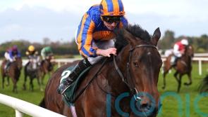 True Love opens her campaign with smart success