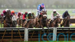 Festival winner White Noise star attraction at Haydock