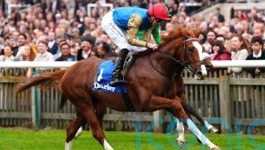 Damysus out to carry on where he left off in Earl of Sefton