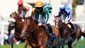 Eustace hoping the Time is right for Sandals to stake claim