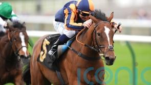 Azleet makes Classic case with 50-1 Nell Gwyn success