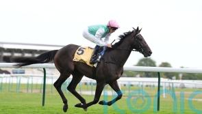 Connections expecting Publish to be back for an autumn campaign