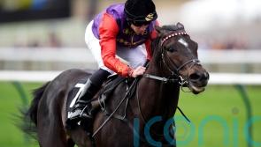 Portcullis makes huge impression in the colours of the King and Queen