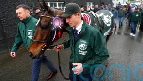 National hero I Am Maximus takes the plaudits in Leighlinbridge