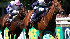 Zavateri and Albert Einstein ready for fascinating Greenham clash