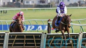 Dedicated Hero takes Scottish Champion Hurdle crown