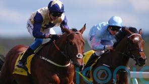 Convergent quality shines through to set up big-race ambitions