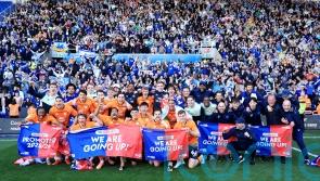 Cardiff promoted after win at Reading and dramatic help from elsewhere