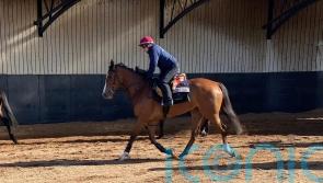 Minnie Hauk could return to action at Chester