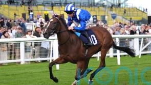 Touleen remains in Guineas mix despite Fred Darling defeat