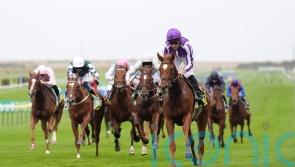 Connections yet to commit to Classic plans with Evolutionist