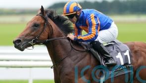 The Lion In Winter pencilled in to lead O&rsquo;Brien Lockinge team