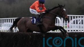 National fancy Panic Attack looking to end season on a high