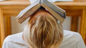 Health & Wellbeing: Nervous system regulation tips to navigate the Christmas rush