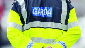 Several crime scenes being examined following fatal shooting in Dublin
