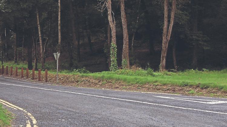 Trunk of money to be spent on Coillte's forest amenities in Limerick