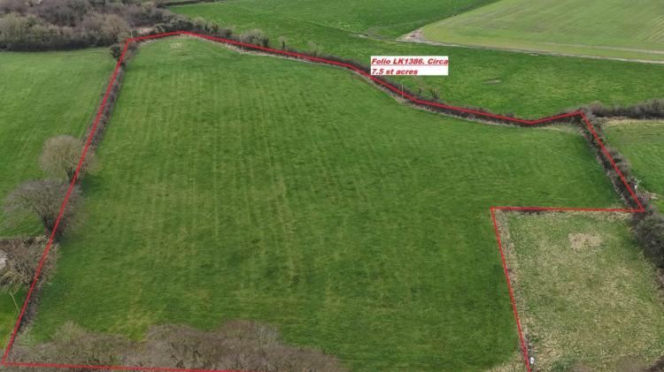 Auctioneer left &lsquo;stunned&rsquo; by selling price of 7.5 acre field in Limerick