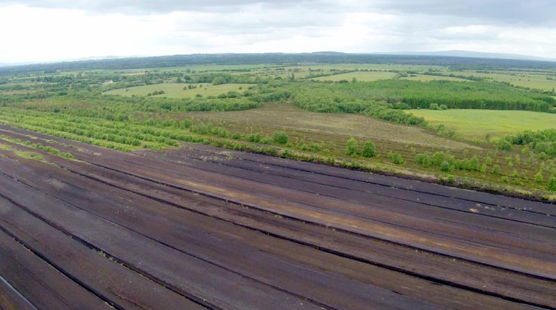 Nearly 40 illegal peat extraction sites causing 'catastrophic damage'