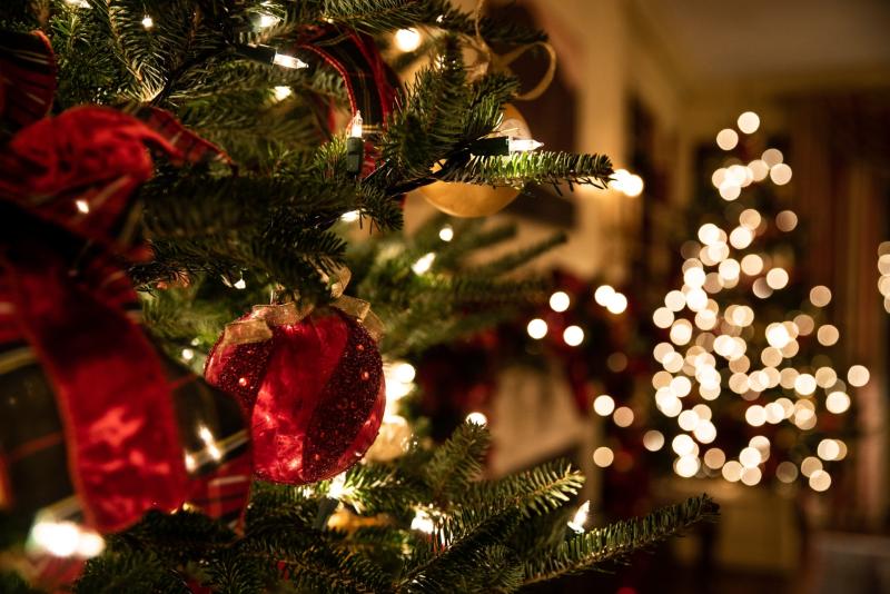 ALERT: Odd warning over Christmas decorations that could slow down your internet