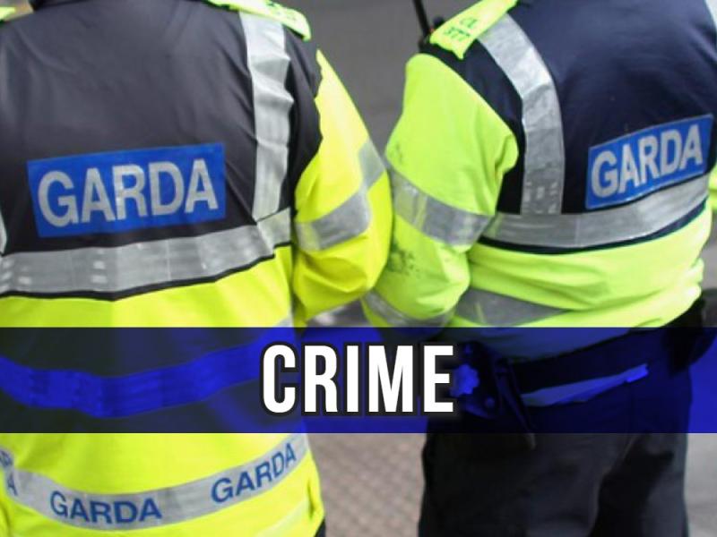Garda&iacute; respond as teenage girl is attacked while out exercising 