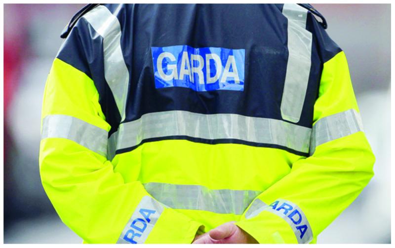 Man arrested after gardai seize large quantity of herbal cannabis 