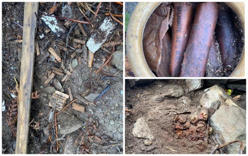 Explosives believed to be from War of Independence found on former RTÉ journalist's farm