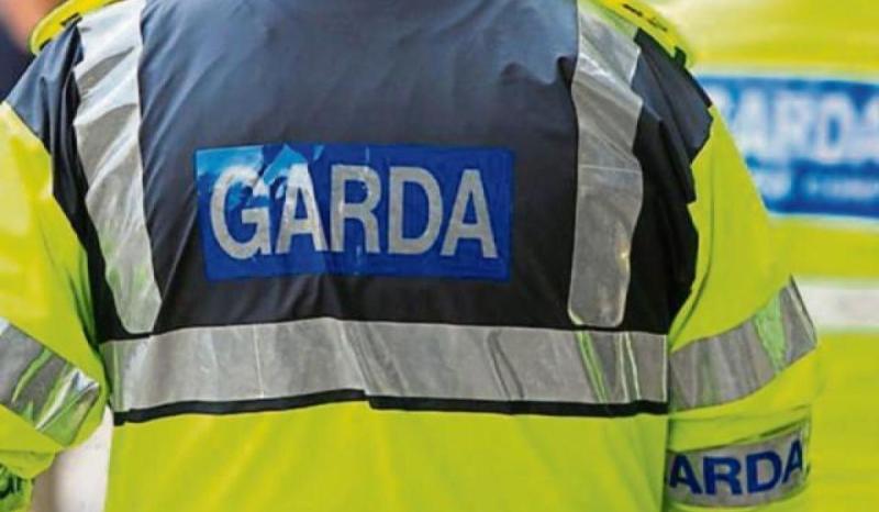 Gardaí locate 'large' cannabis grow house as part of ongoing investigation