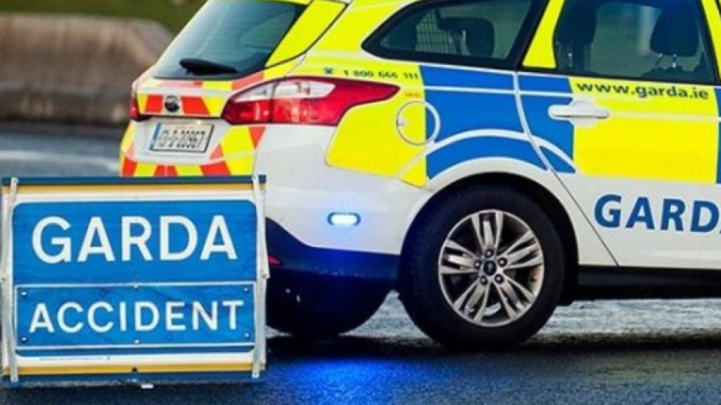 Child rushed to hospital after falling off moving bus on M50
