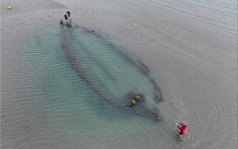 Shifting sands unveils three new historic shipwrecks to local photographer off Irish coast