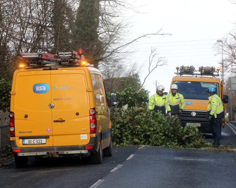 ESB in urgent safety appeal following 'very dangerous incidents' in the wake of Storm Éowyn