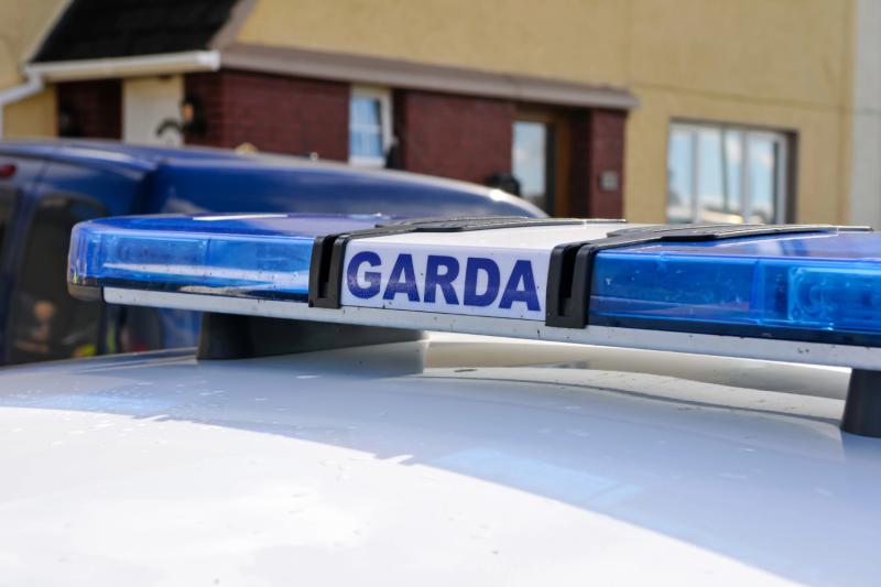 Warning to drivers as thousands of cars are stolen from Irish driveways