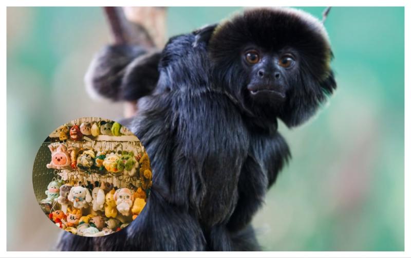 OPINION: New rule at Dublin Zoo is just another example of rip-off Ireland