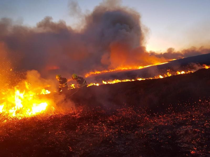 ALERT: 'High risk' orange forest fire warning issued amid warm weather forecast