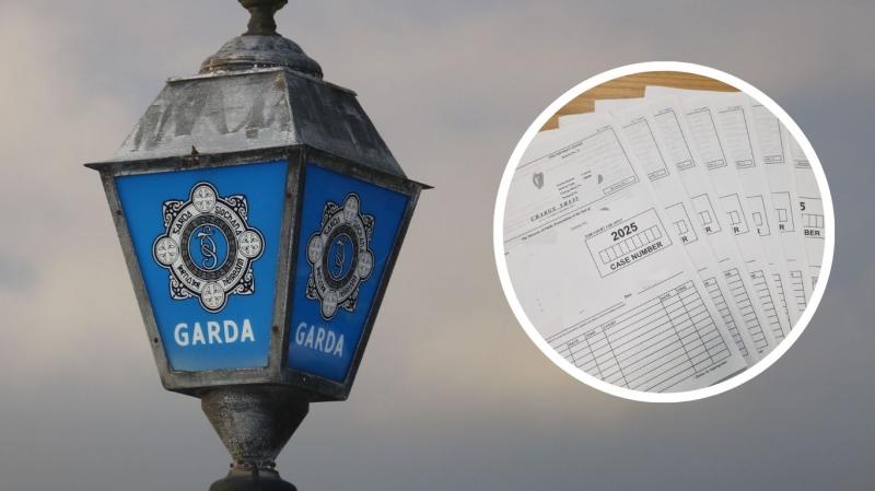  ‘Absolute clown’: Driver arrested in busy Irish town as gardaí detect six serious crimes 