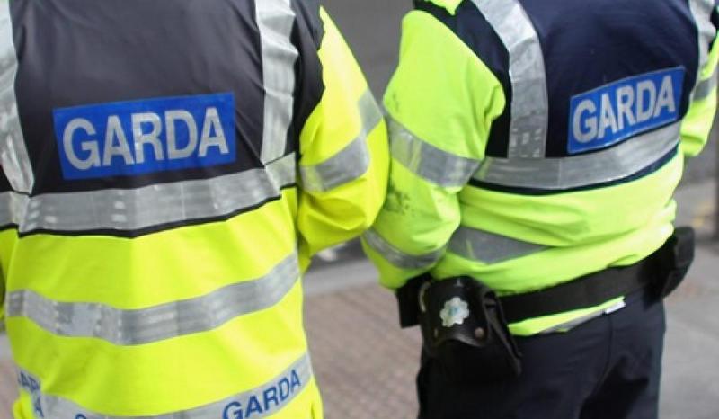 Man and woman arrested after alleged assault of two members of gardai