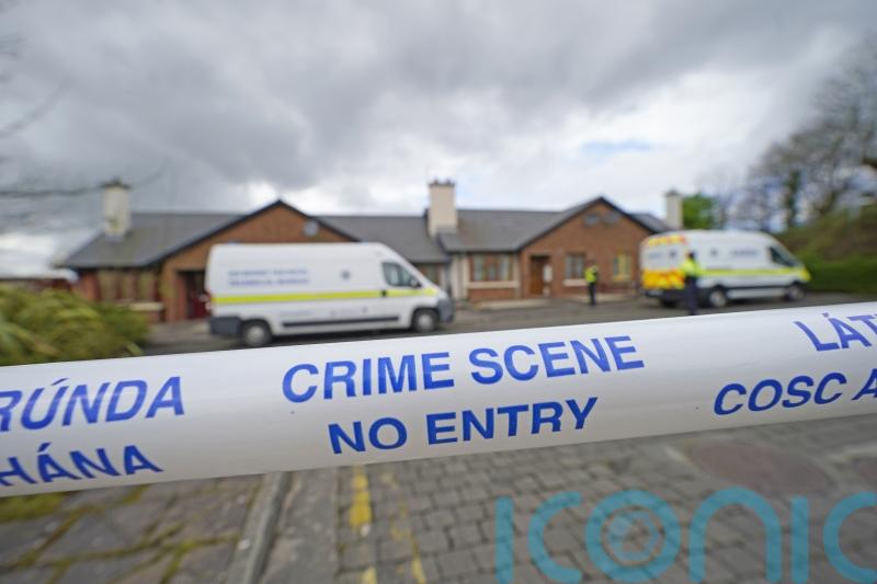 Suspect remains in custody as gardai continue to probe murders of two men