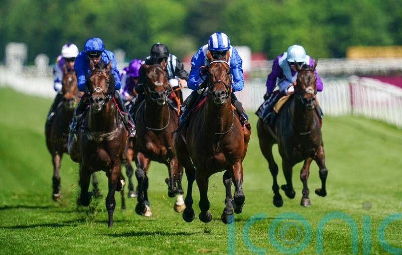 Baaeed firmly on course for Queen Anne Stakes