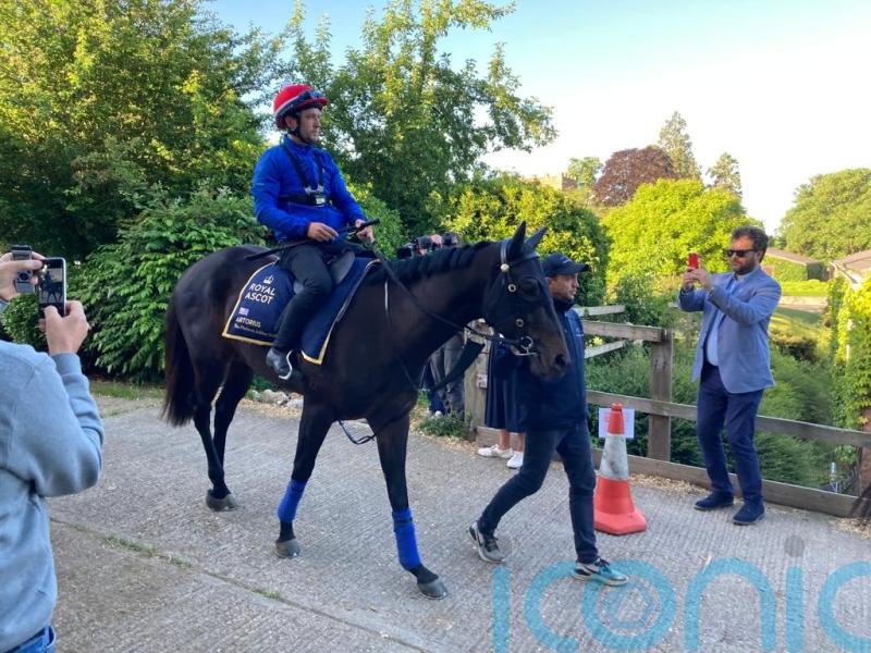 July Cup contender Artorius to get Newmarket sighter on Friday