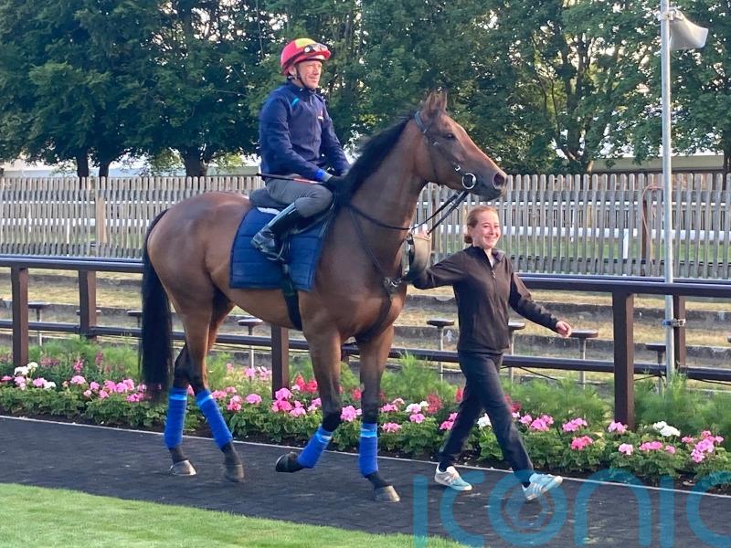 Dettori will ride Emily Upjohn at Irish Oaks, trainer confirms