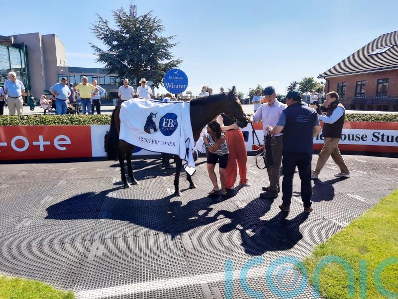 Marbling on song with Brownstown Stakes success at Fairyhouse