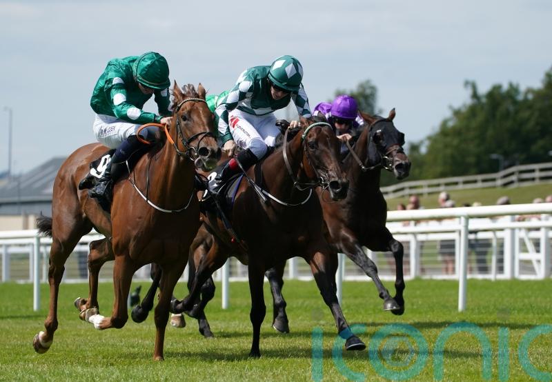 Davison eager for Mooneista to return to winning ways