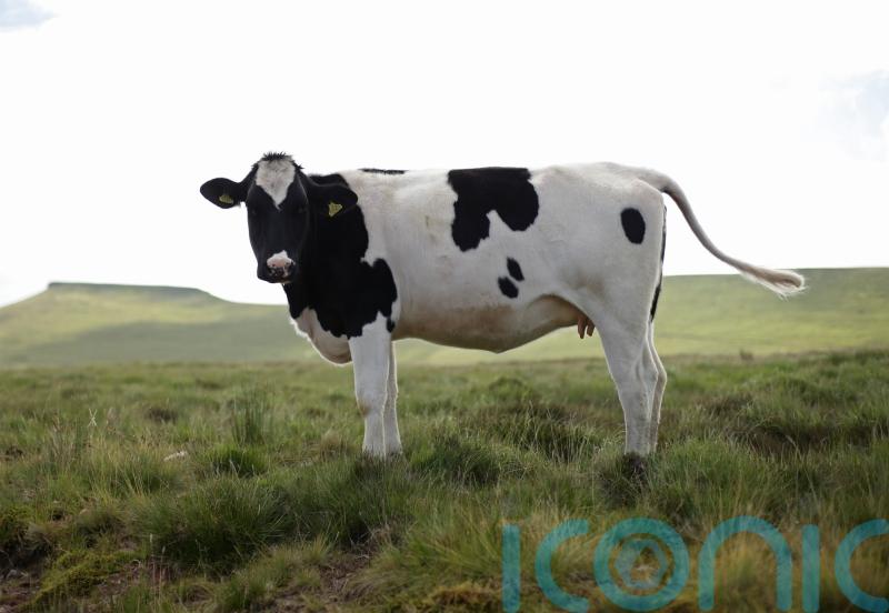 ‘Bogey-man’ agriculture sector will play part in climate change fight – minister