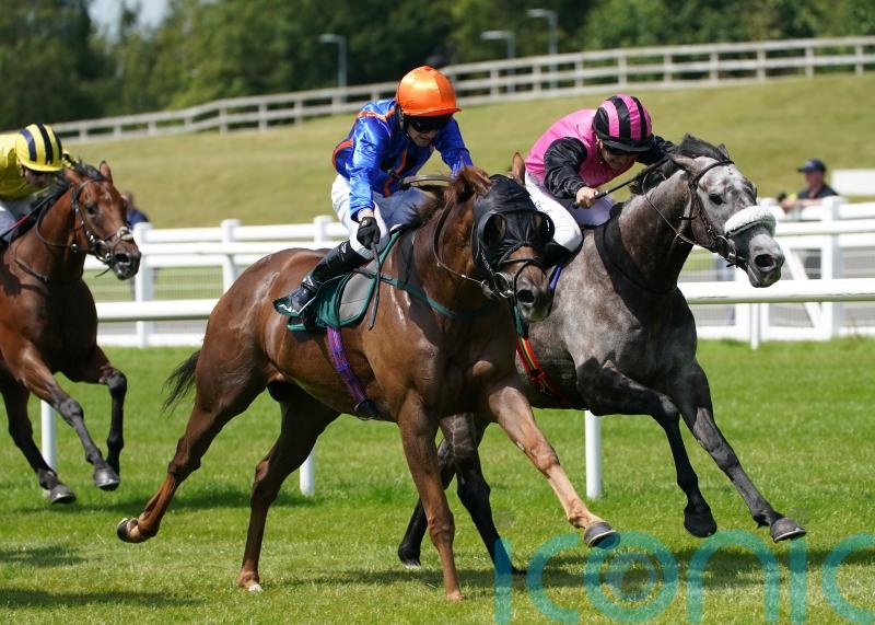 Mr Wagyu given Stewards’ Cup green light