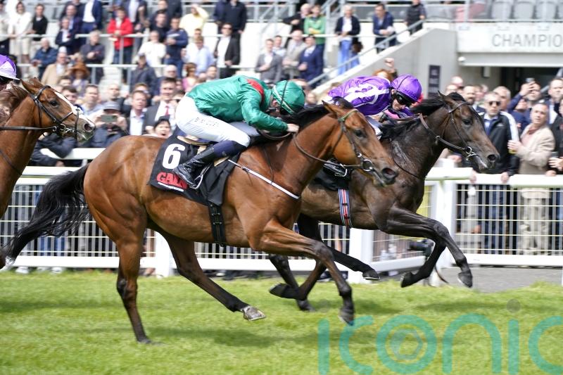 National Stakes in the reckoning for Shartash