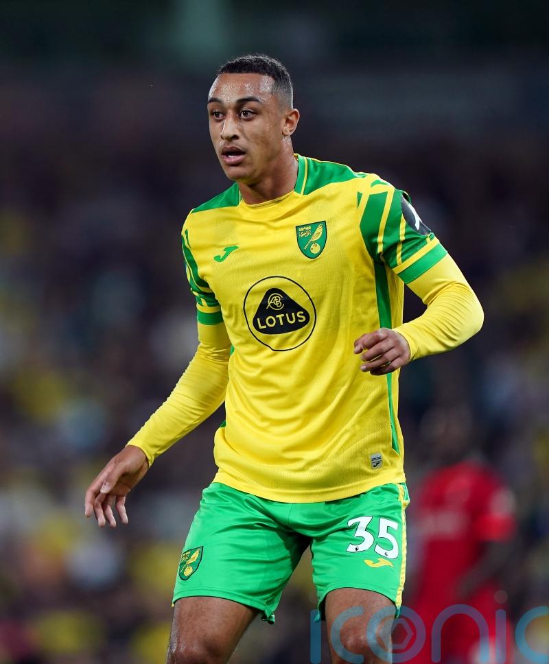 Adam Idah could play some part for Norwich against Bournemouth after injury