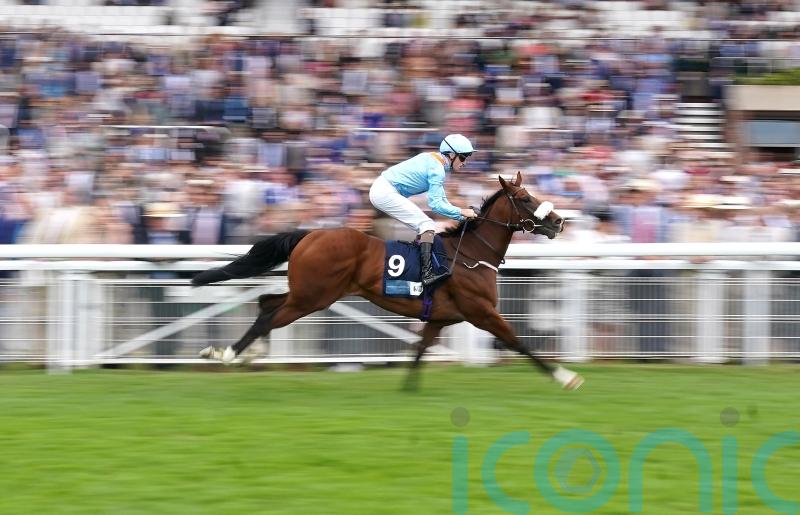 The Platinum Queen handed Flying Childers aim