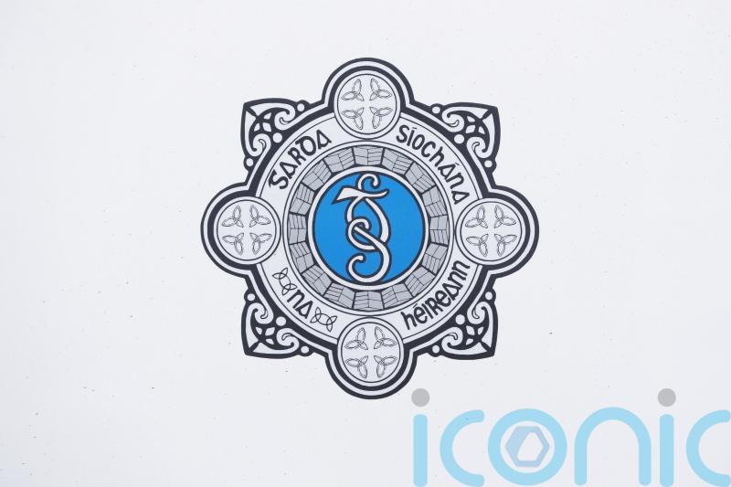 Three men and two women arrested in connection with serious Kildare assault