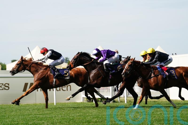 ‘Always the plan’ for Kyprios to edge back in trip