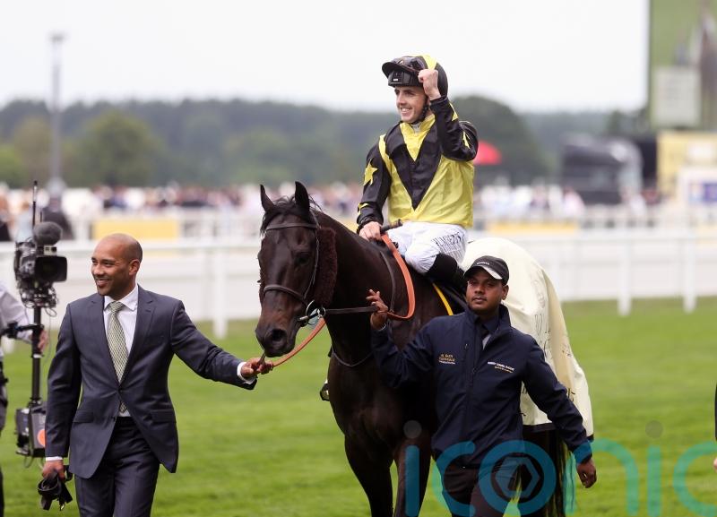 Goldream perfectly illustrates invaluable work of New Beginnings